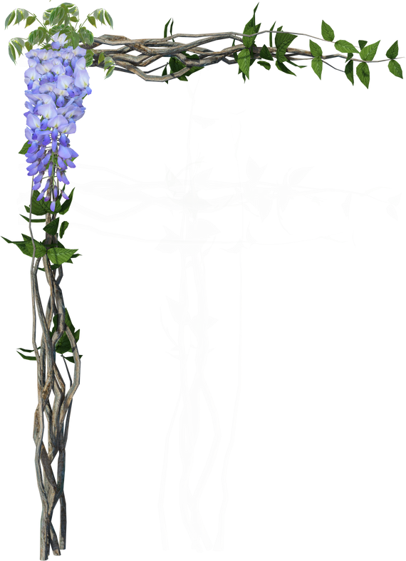Wisteria Corner Border 